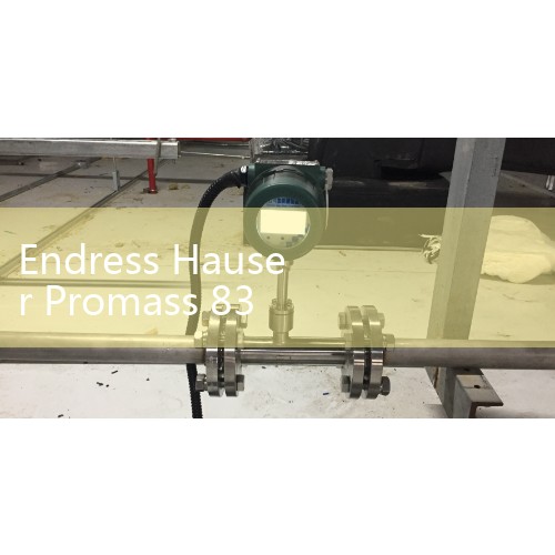 Endress Hauser Promass 83 Flow Meter Diagnostics: Reading Error Codes and Fixing Sensor Drift